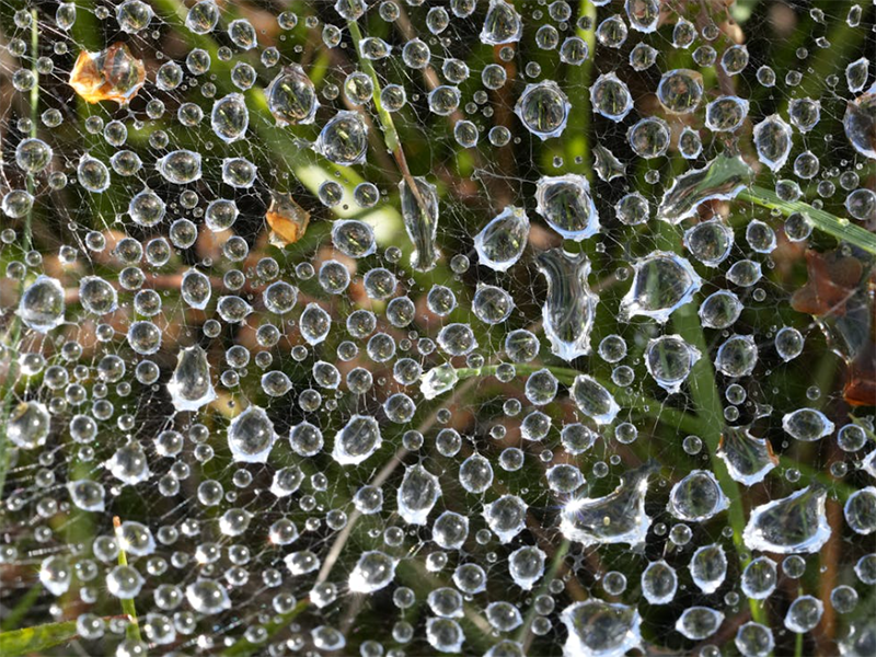 手持水質(zhì)重金屬檢測儀測定指標(biāo)（手持水質(zhì)重金屬檢測儀使用注意事項）